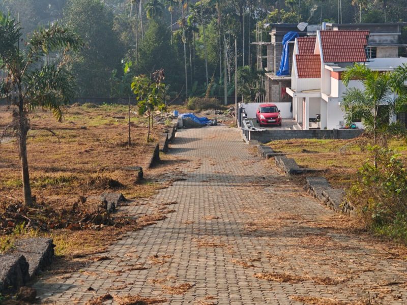 Prime residential plots at Pathammile
