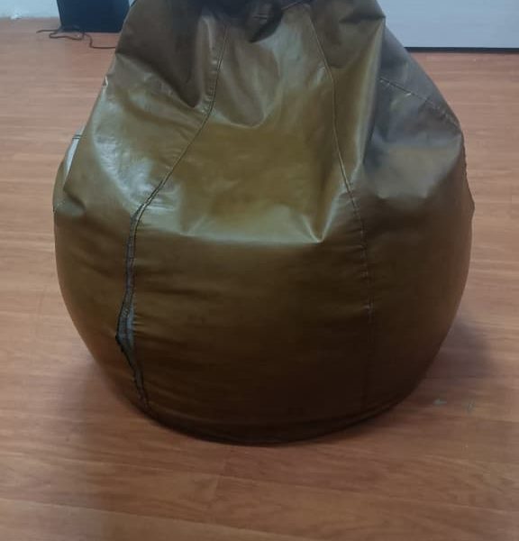 bean bag leather